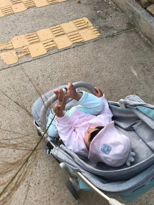 断奶之战
