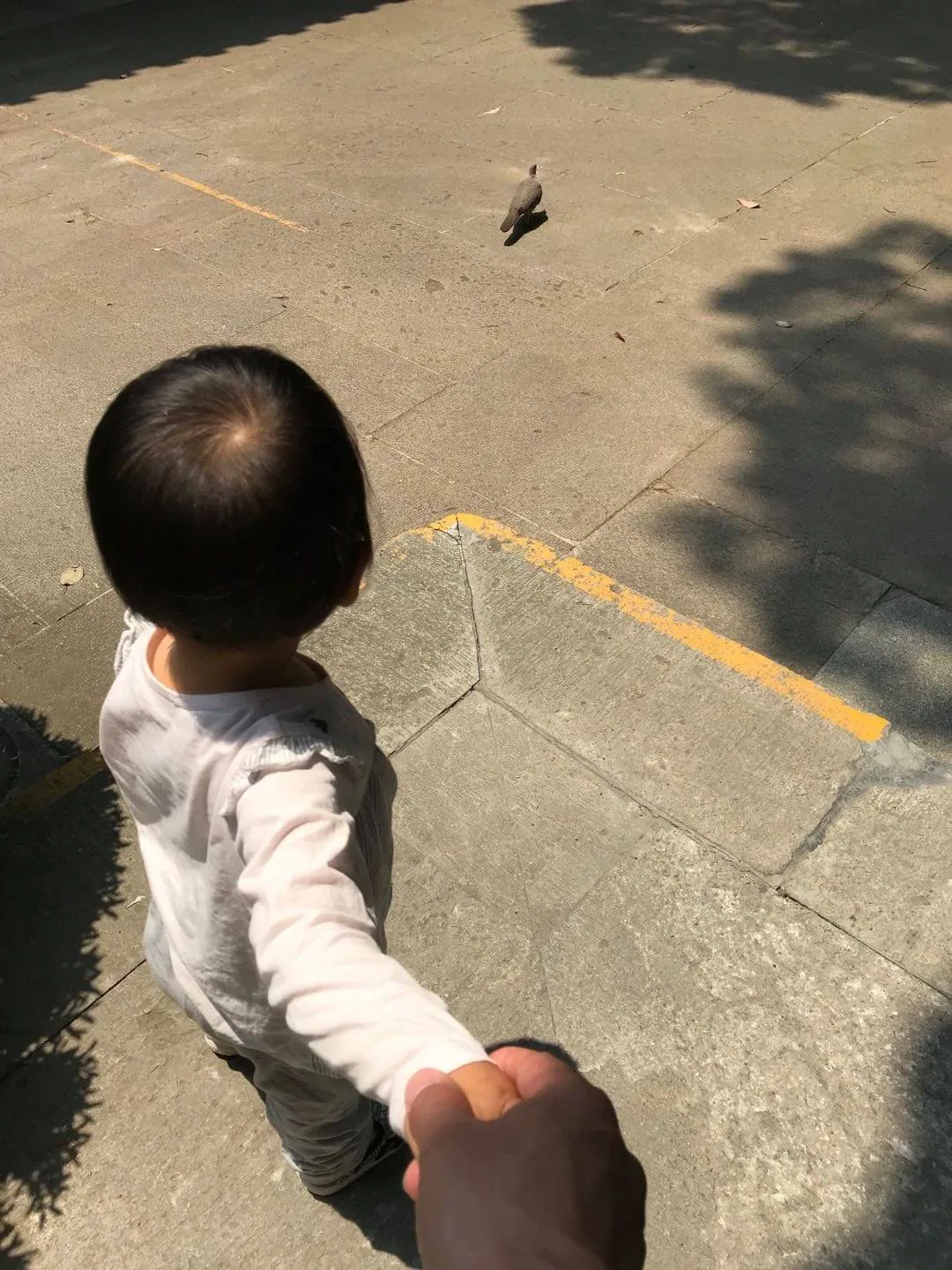 国际家庭日，领证七周年