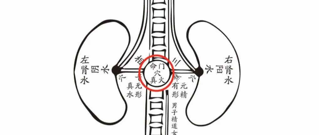 2021-09-24 补肾气四法（亲证）