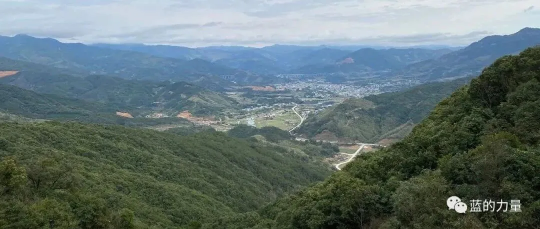 谷爱凌这么优秀，是不是又多了个鸡娃的理由？