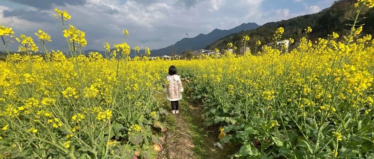 177.低功耗，稳输出，久运行